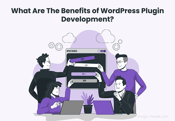 WordPress Plugin | Benefits Development Process & More